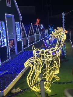 木曽三川公園のイルミネーション5