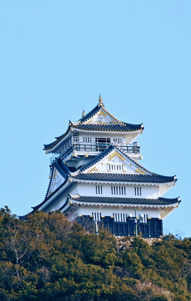 齋藤道三、織田信長の居城稲葉城