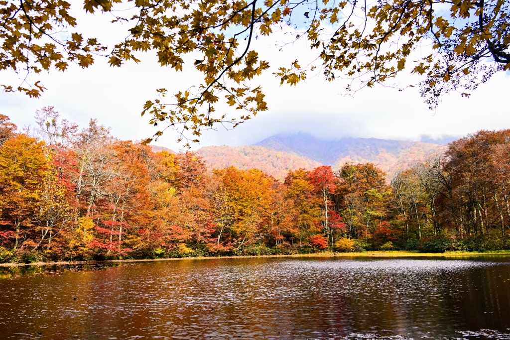 紅葉の刈込池