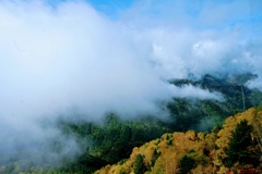 2階建穂高ロープウェイから観た雲の中の山々