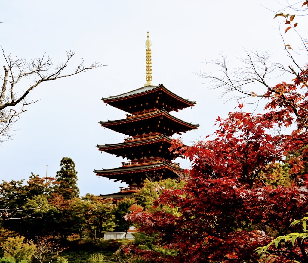 西国第28番札所成相寺の五重塔