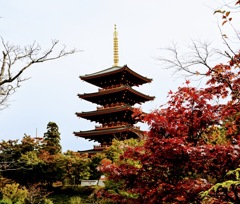 西国第28番札所成相寺の五重塔