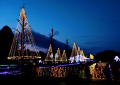 木曽三川公園のイルミネーション1