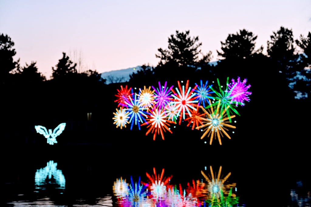 木曽三川公園のイルミネーションの花火