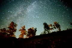 紅葉中の星空