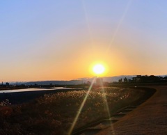 長良橋付近から見た風景