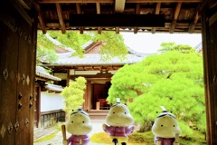 石山寺で見つけた大津市の光源氏　おおつ光ルくん