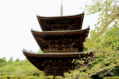 三井寺の国宝三重の塔