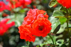 7D8262FC-952E-4BA1-B724-B0862FEE2D9B
