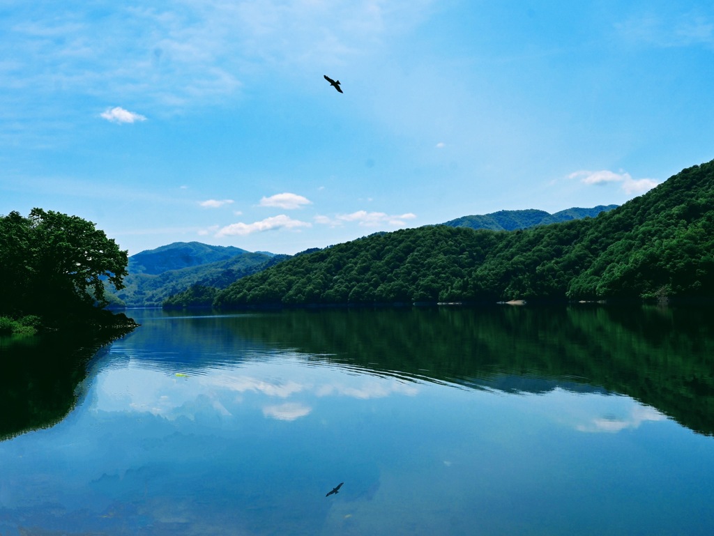 湖面の鏡2