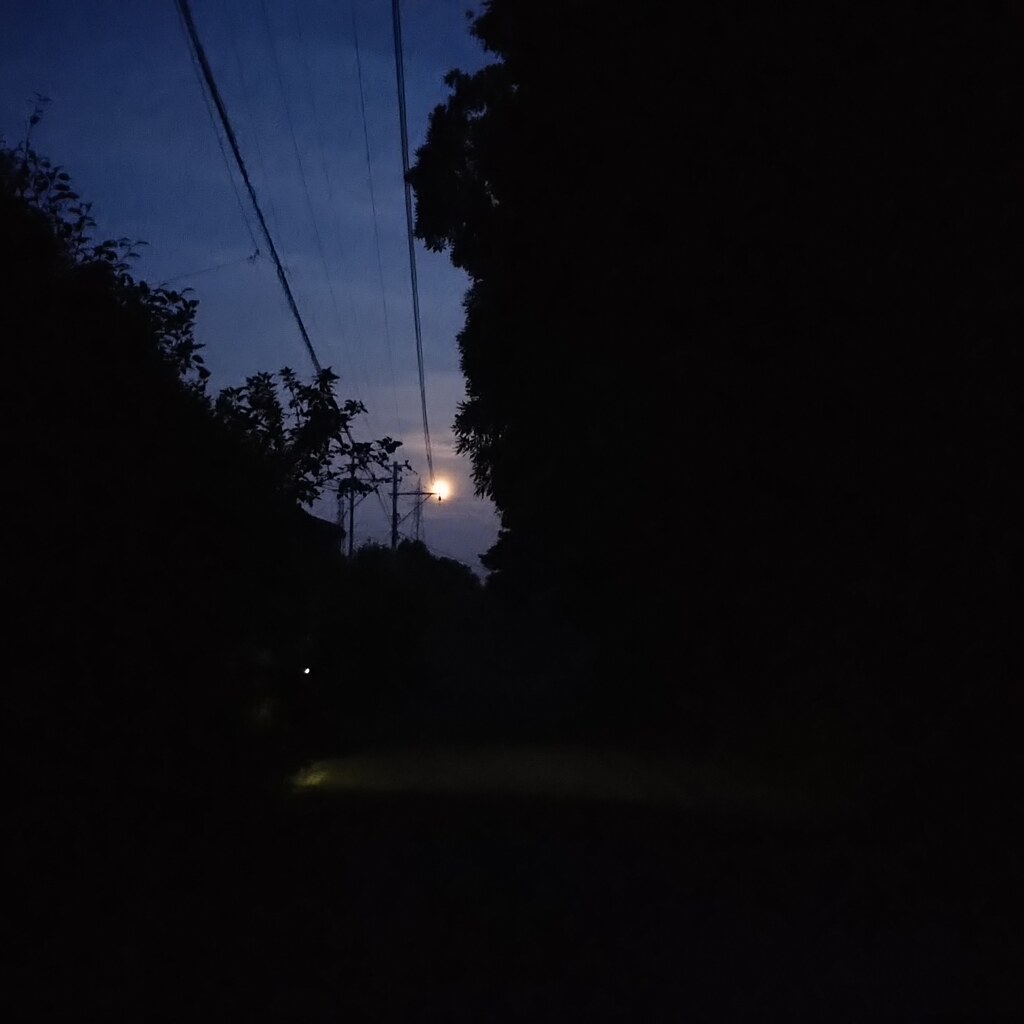 霞み夜空に、まん丸お月さま