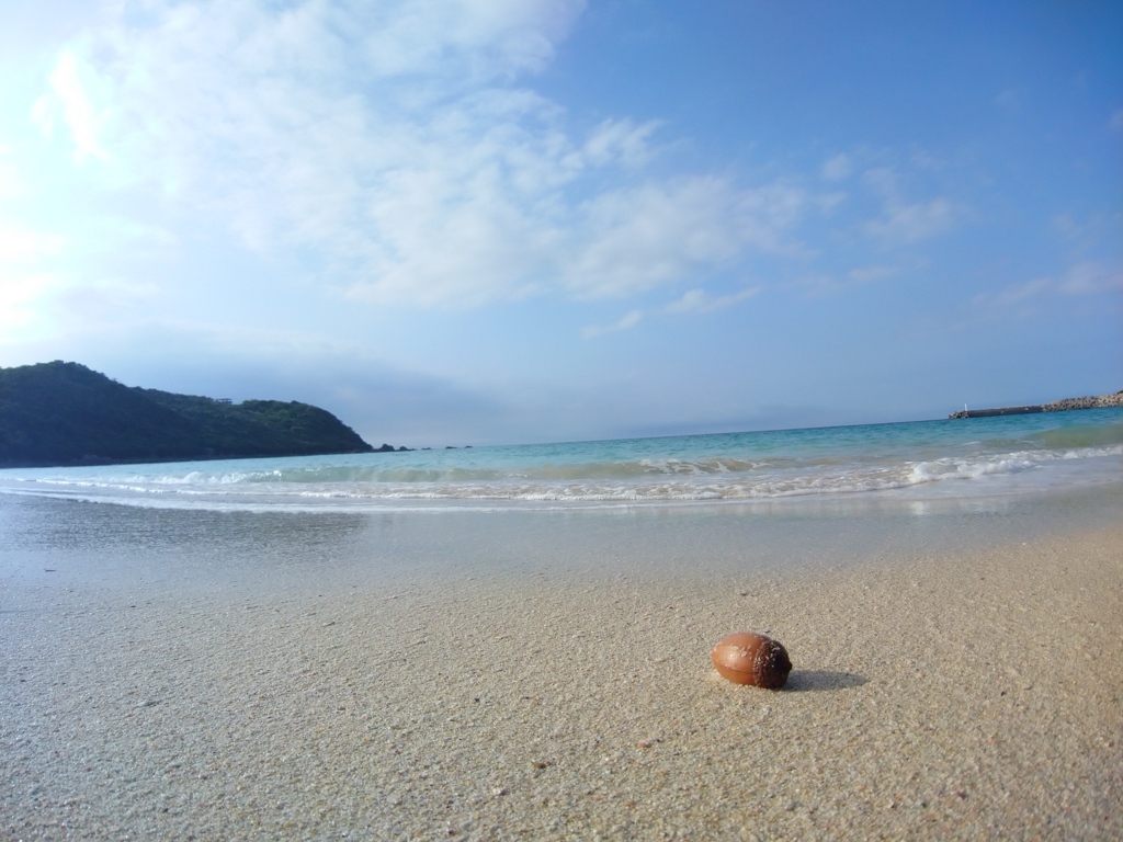 賑やかな夏が待ち遠しぃ、、泳げないけどね