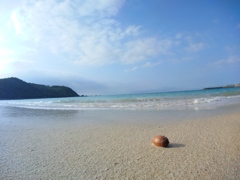 賑やかな夏が待ち遠しぃ、、泳げないけどね