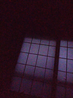 恐怖の閃光