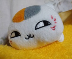 生にゃんこに飽き足らず  #マイブーム