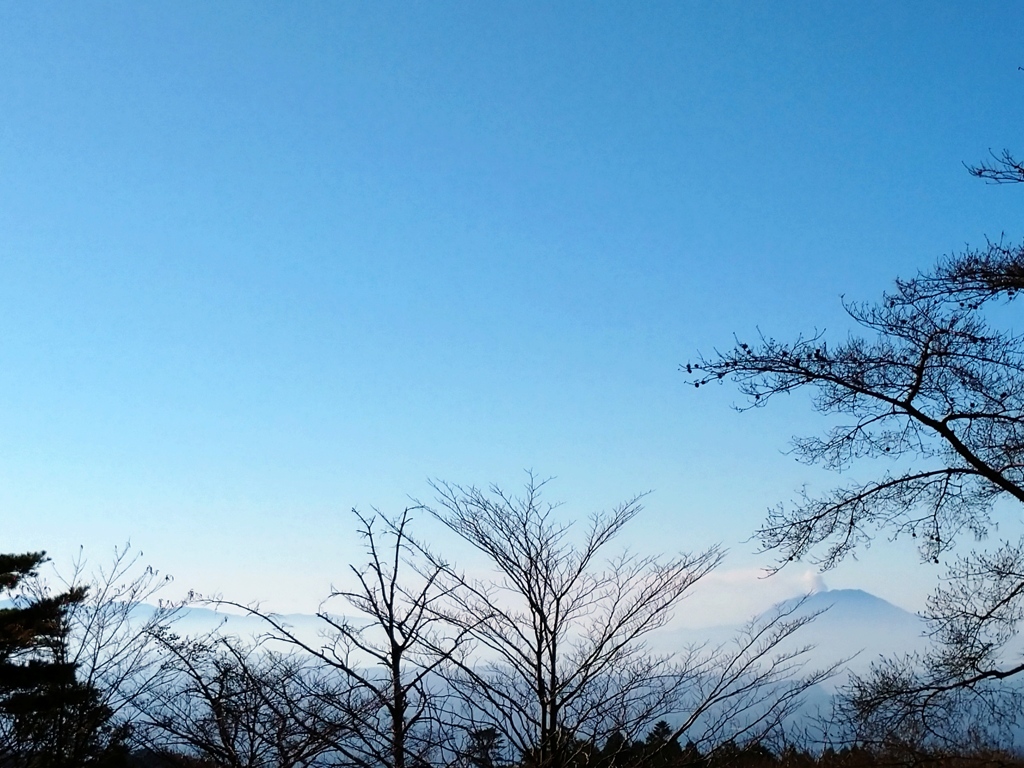 落葉の季節だからこその絶景