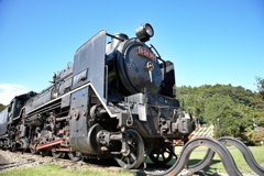IMG_5544
