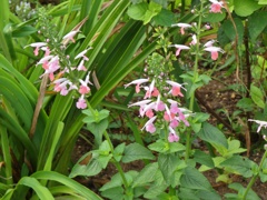 P1010180