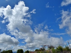 P1010775