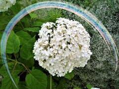 l - コピー - コピー - コピ vー (1)