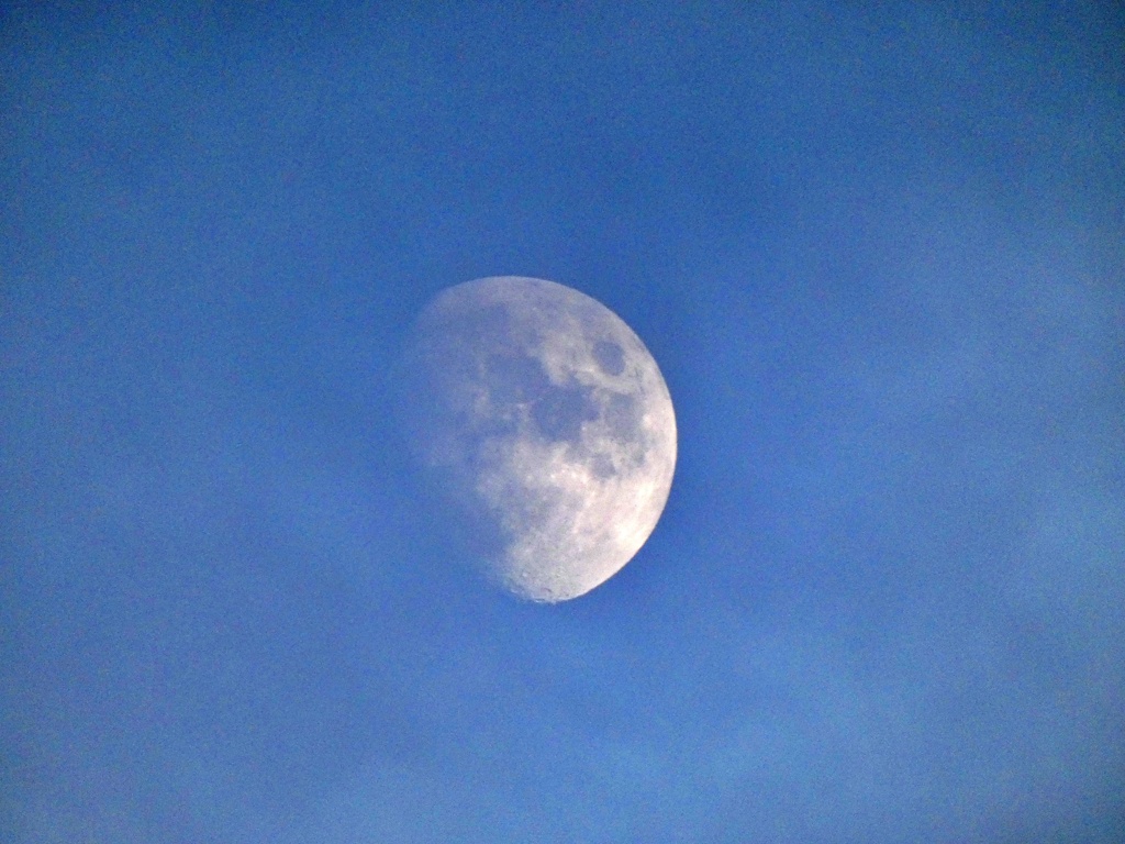 P1010880