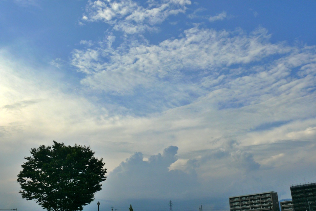 P1160210