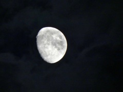 P1010882