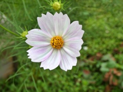 P1010713