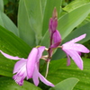 P1130110