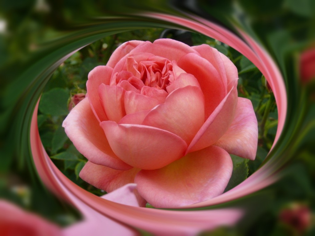 ゆっくりしましょう。