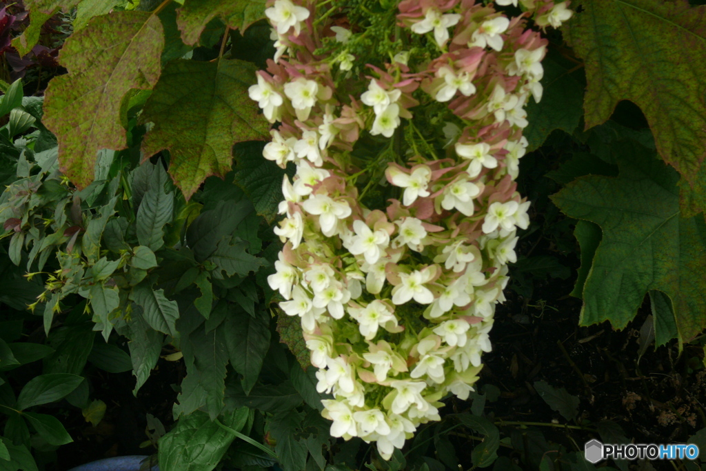 P1140378