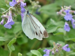 P1010769