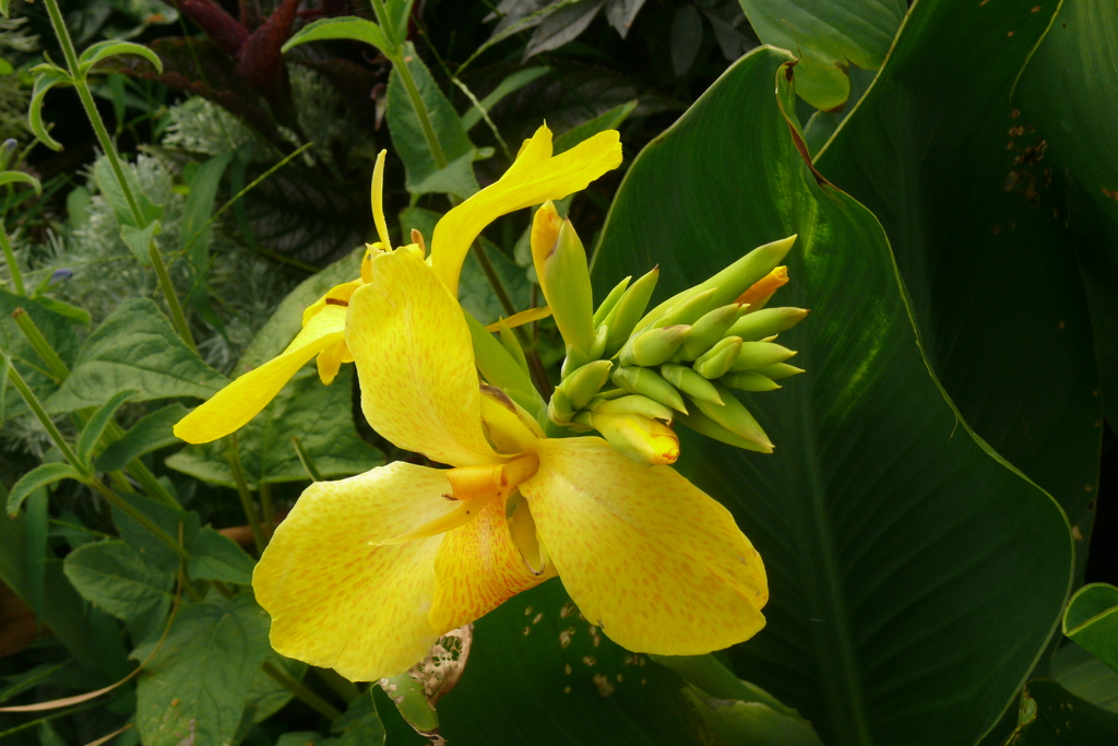 P1150495