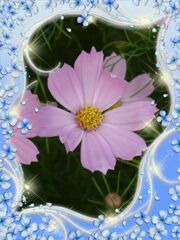 my_photo_flower-1976 (2)