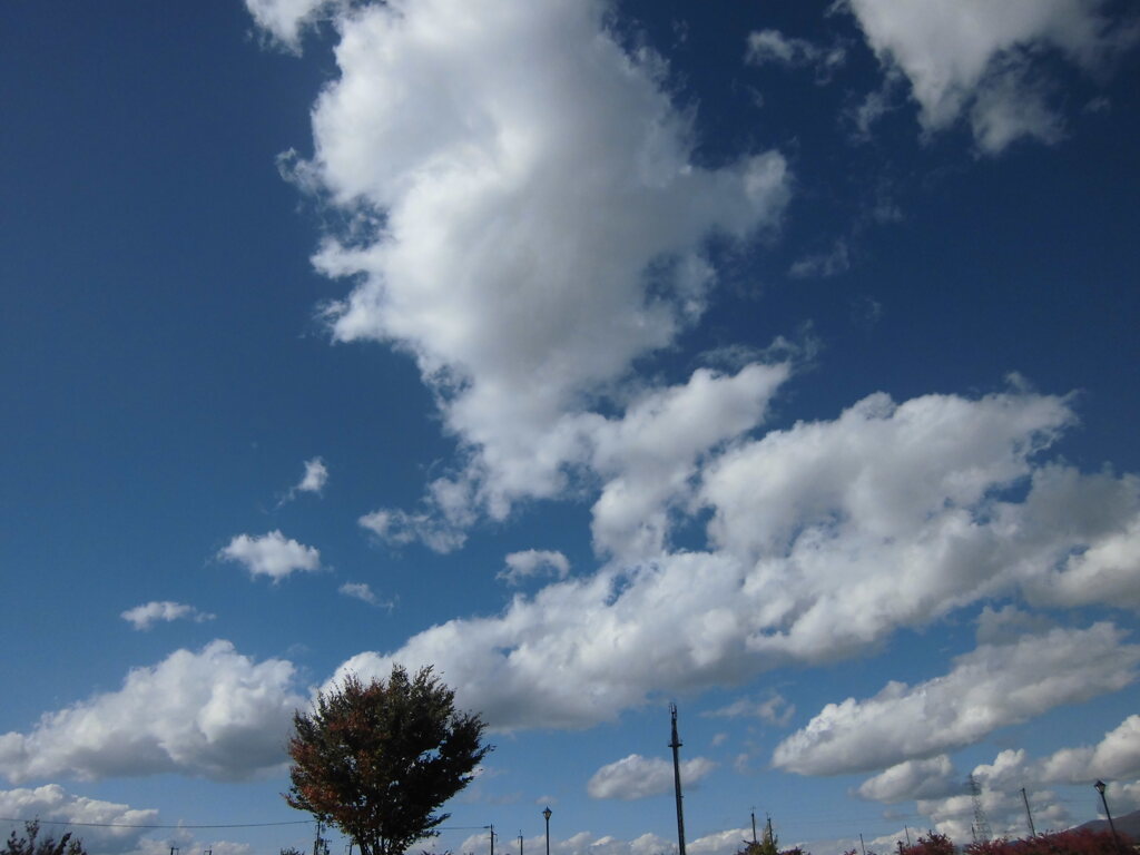 CIMG0429