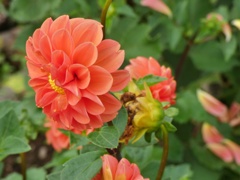P1010162