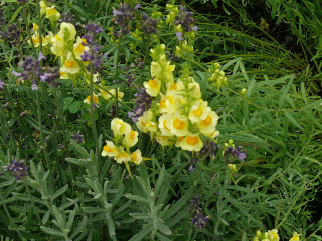 P1140056