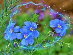 P1m010172 (5)
