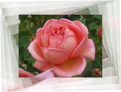 tuxpi.com.1595249376