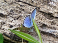P1020571