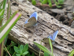 P1020568