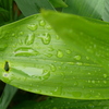 P1130112