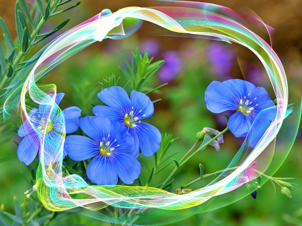 P1m010172 (6)