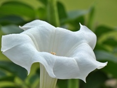 P1010151