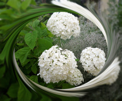 tuxpi.com.1595336751