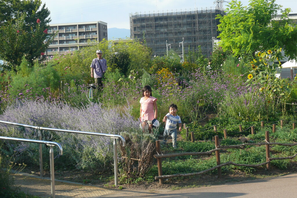 P1160691