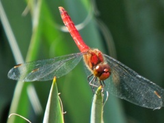 P1010502