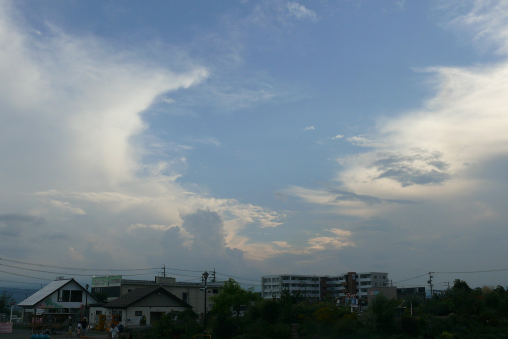 P1160220
