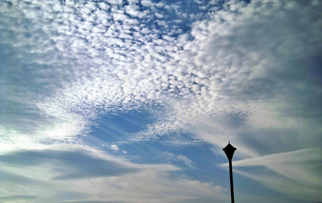 CIMG0382
