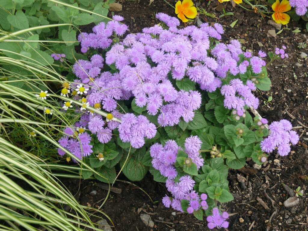 P1140059